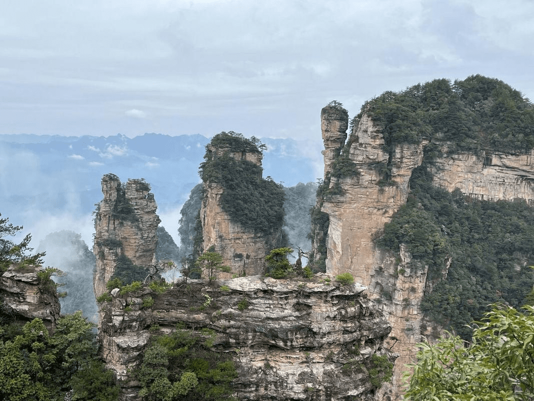 yangjiajie